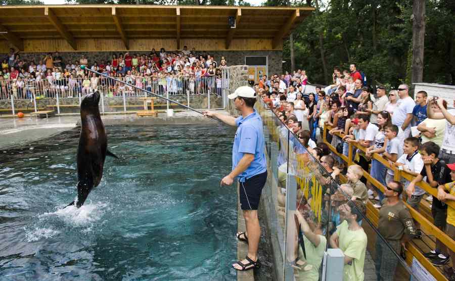 Európa legjobb állatkertje lett a nyíregyházi