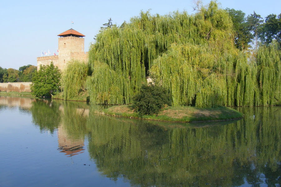 Mézkóstoló a Gyulai várban Mézkóstoló a Gyulai várban