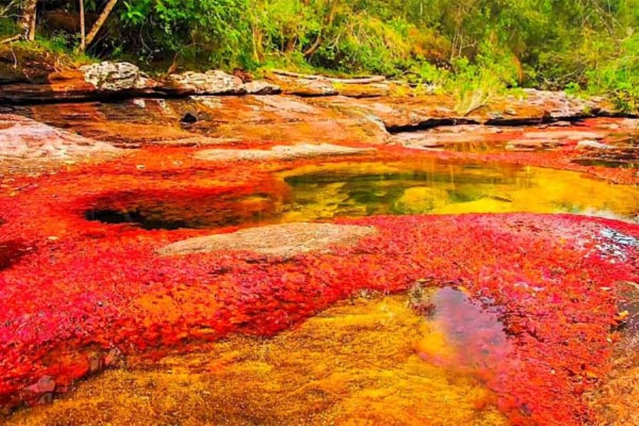 Gyönyörű a világ legszínesebb folyója – képek