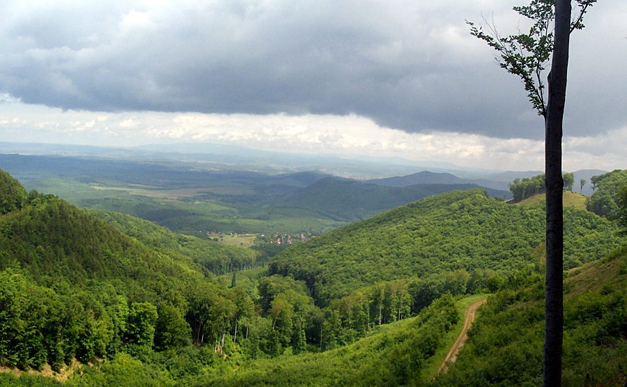 8 pazar panorámájú kilátó Észak-Magyarországon