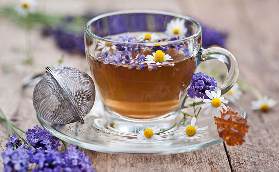 Íme, a 7 legjobb álomhozó gyógynövény és tea