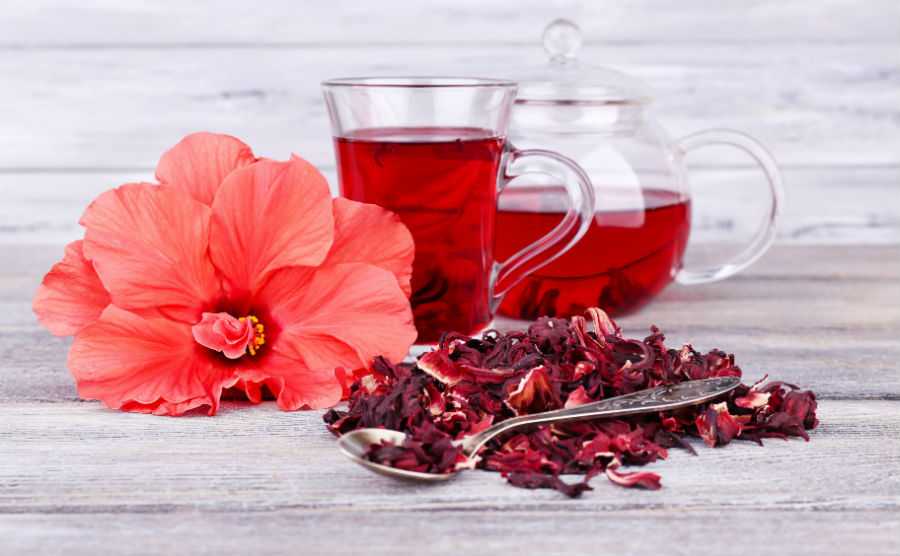 Hibiszkusz tea, a természetes vérnyomáscsökkentő