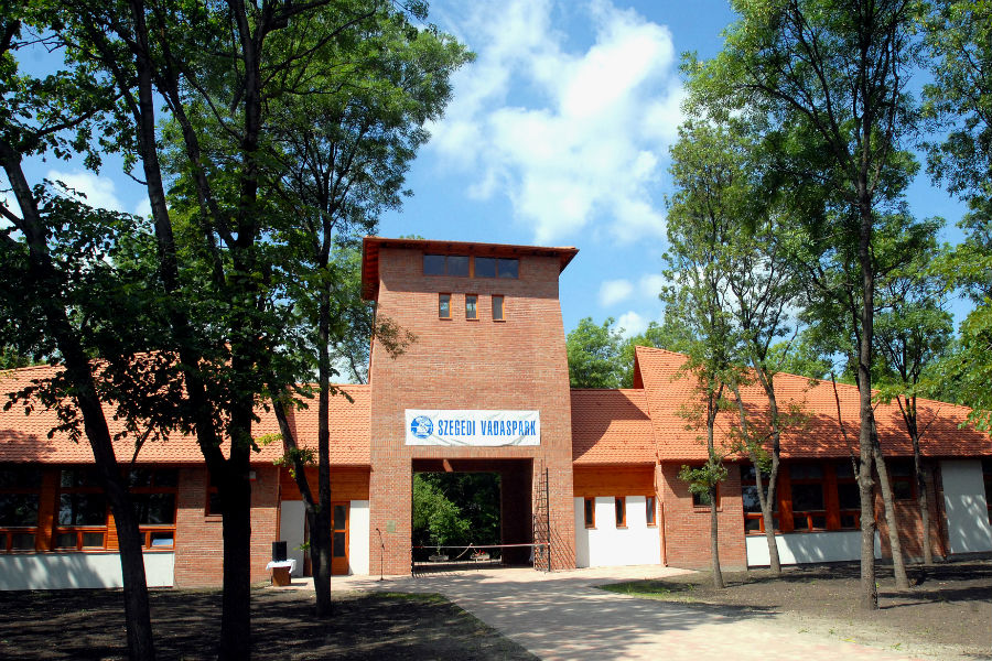 Állatkertek éjszakája a Szegedi Vadasparkban Állatkertek éjszakája a Szegedi Vadasparkban