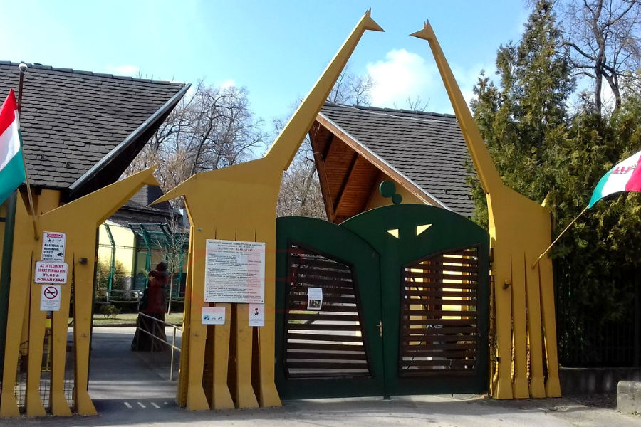 Állatkertek éjszakája Állatkertek éjszakája