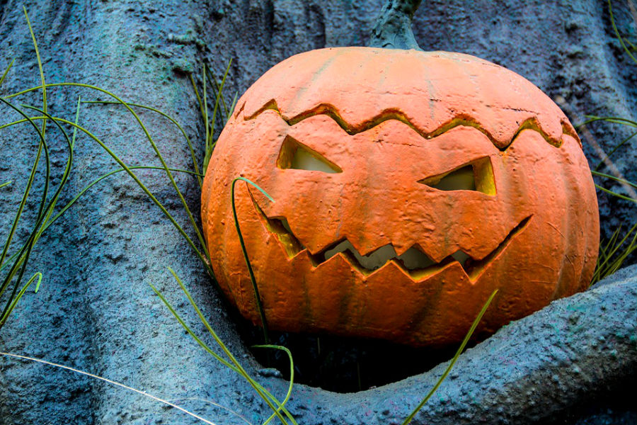 Szauna Halloween a Lenti Termálfürdőben Szauna Halloween a Lenti Termálfürdőben