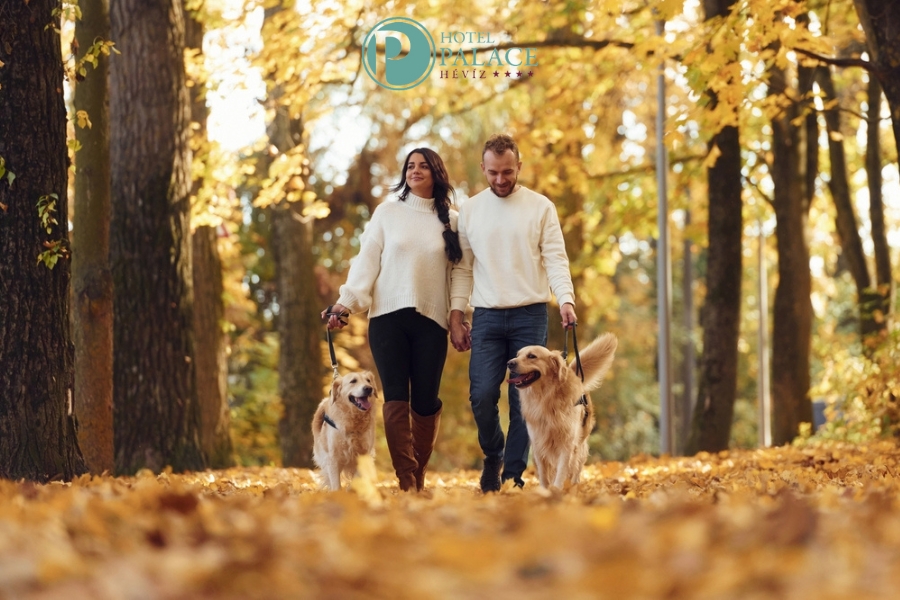 Palace Hotel**** Hévíz Palace Hotel**** Hévíz