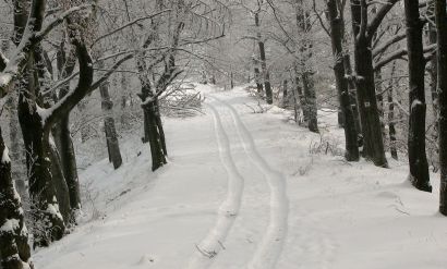 Így esett le hazánkban az első hó - csodás képek