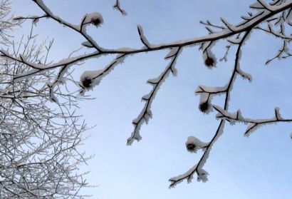 Így esett le hazánkban az első hó - csodás képek