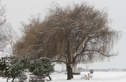 Ilyen a Balaton téli arca - képek