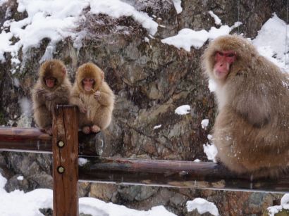 Forró kalandok fagyos helyeken - képek Forró kalandok fagyos helyeken - képek