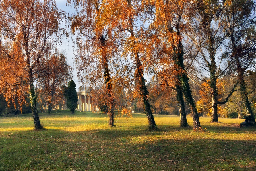 Arborétumok, ahol a legszebb az őszi levélhullás