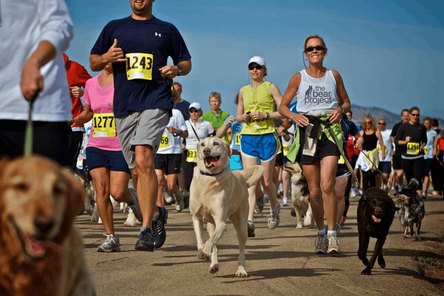 Futóverseny után jól esik és ingyenes is a fürdőzés