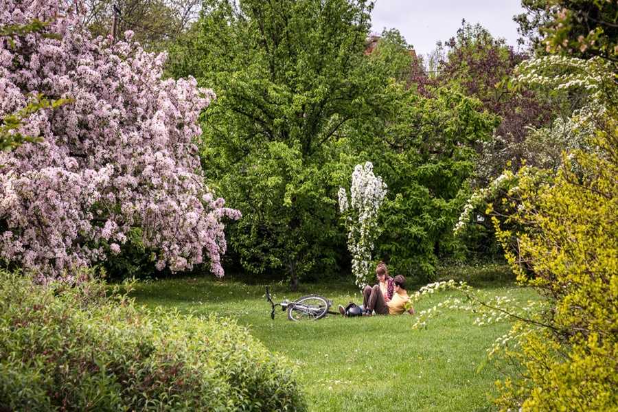 Füvész- és botanikus kertek, ahol a tavasz a legszebb arcát mutatja