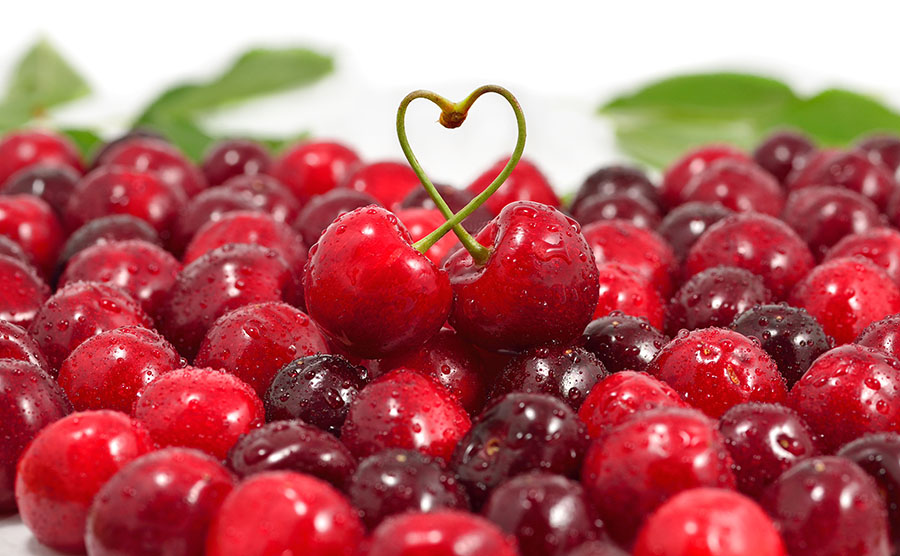 Kedvenc bogyós gyümölcseink: a cseresznye és a meggy