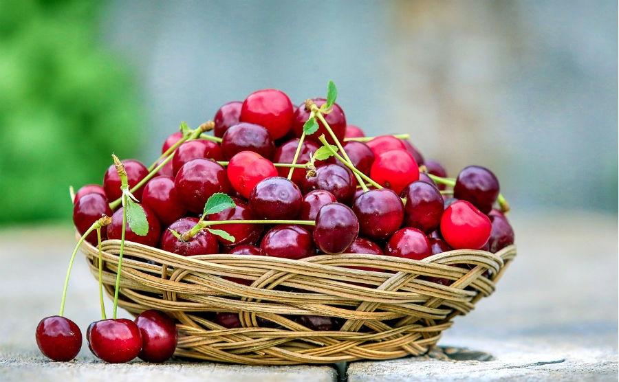 Kedvenc bogyós gyümölcseink: a cseresznye és a meggy