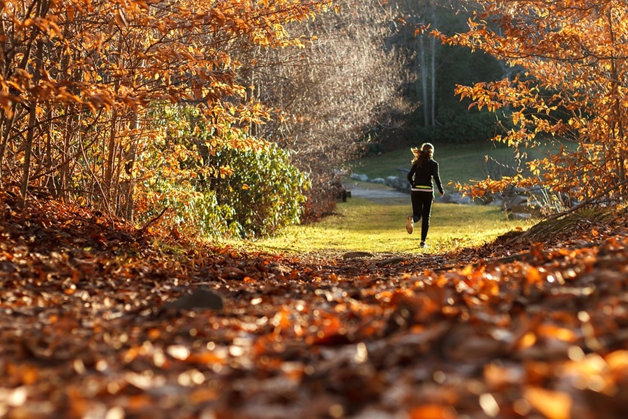 Könnyebb a fogyás ősszel, de vajon miért?